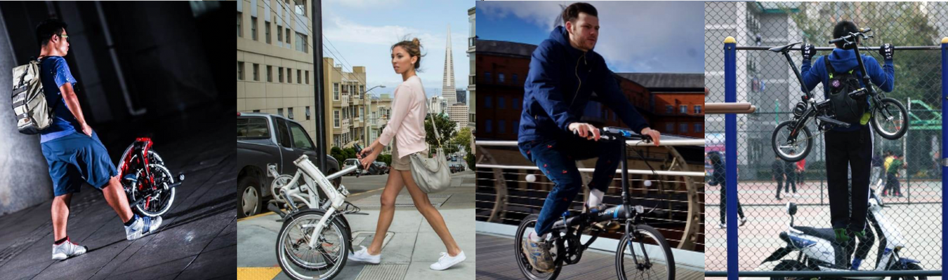 Dahon