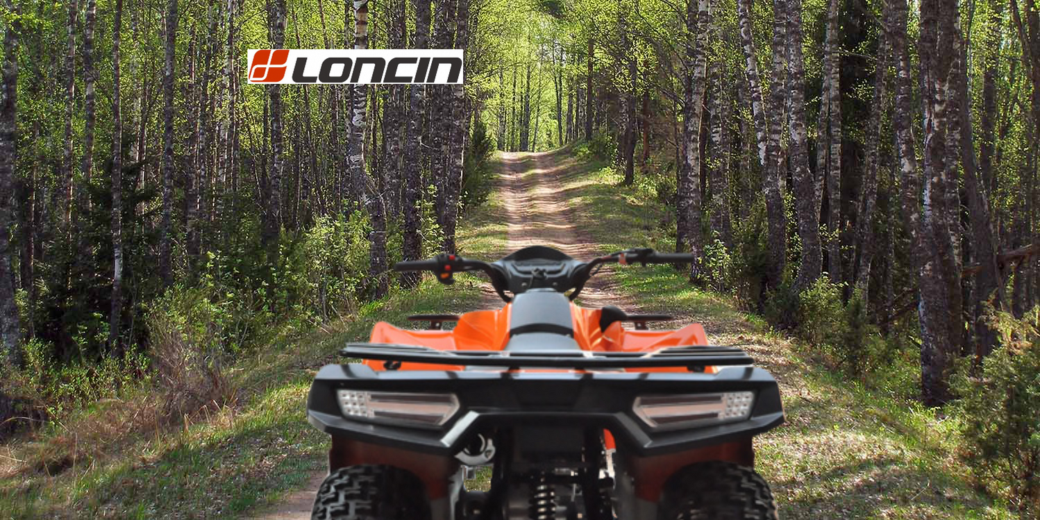 Qlink Raptor Raptor Concept Store Online