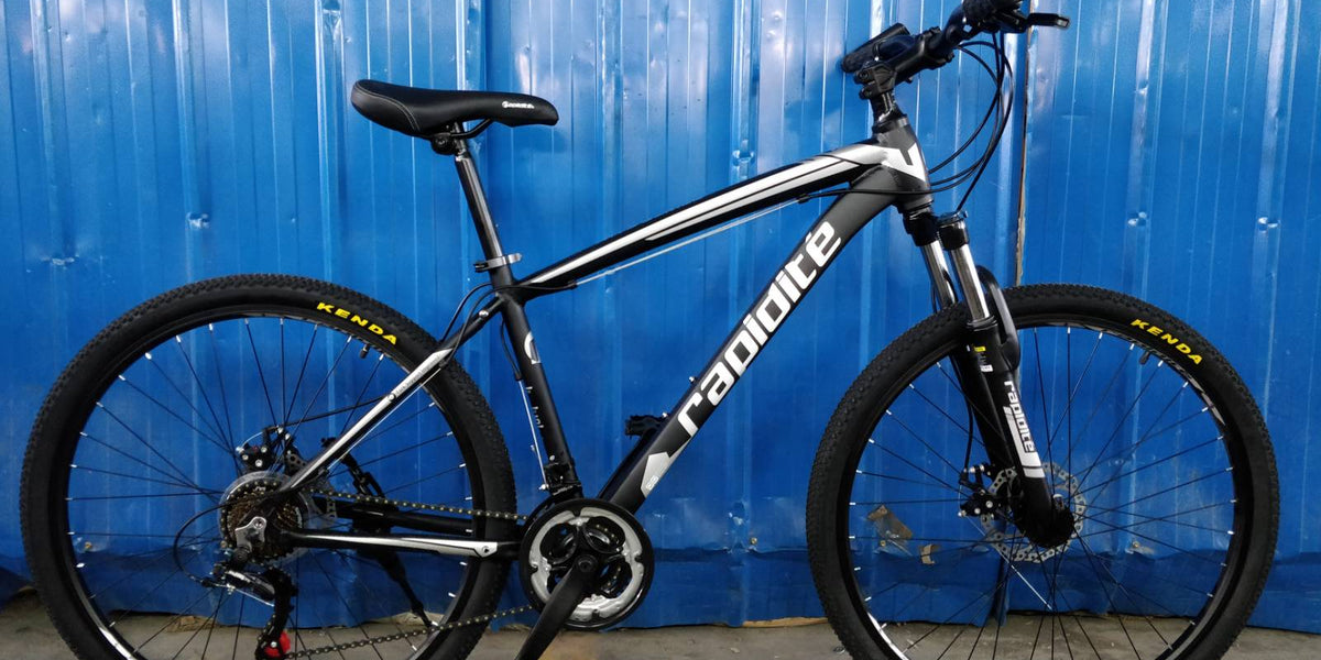 Rapidite mountain online bike price